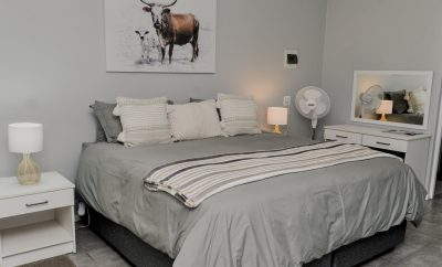 Suite 11