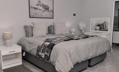 Suite 12